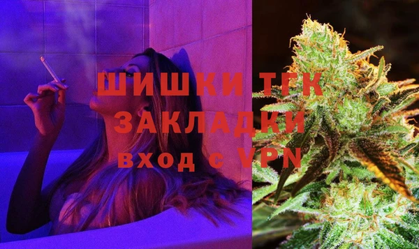 прущие грибы Абинск