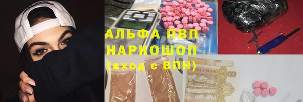 прущие грибы Абинск