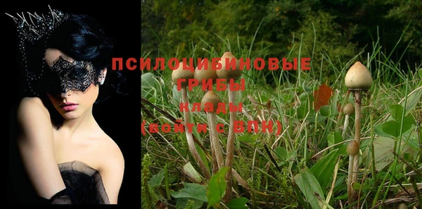 прущие крисы Абдулино