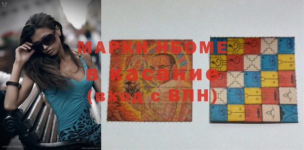 хмурый Алексин